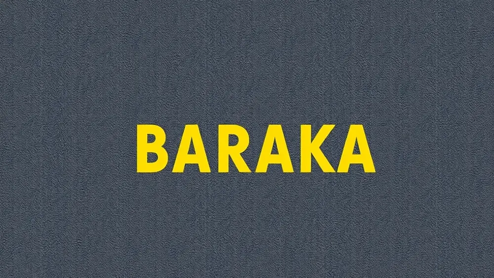 Baraka no cinema (filme): resumo sem spoilers, bem direto