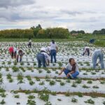 Mais de 100 mulheres certificadas em programa rural em Brazlândia