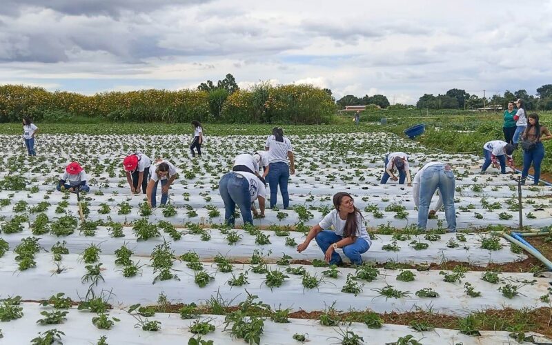 Mais de 100 mulheres certificadas em programa rural em Brazlândia